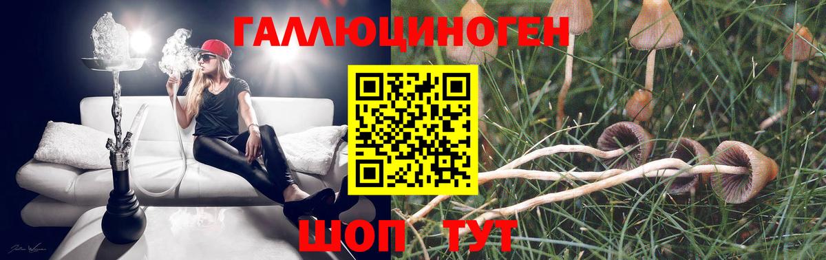 Псилоцибиновые грибы GOLDEN TEACHER Урай